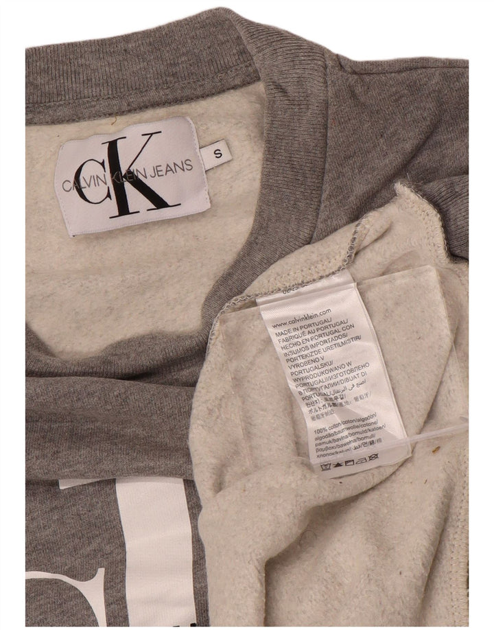CALVIN KLEIN JEANS Męski sweter z grafiką, mały, szary, bawełniany