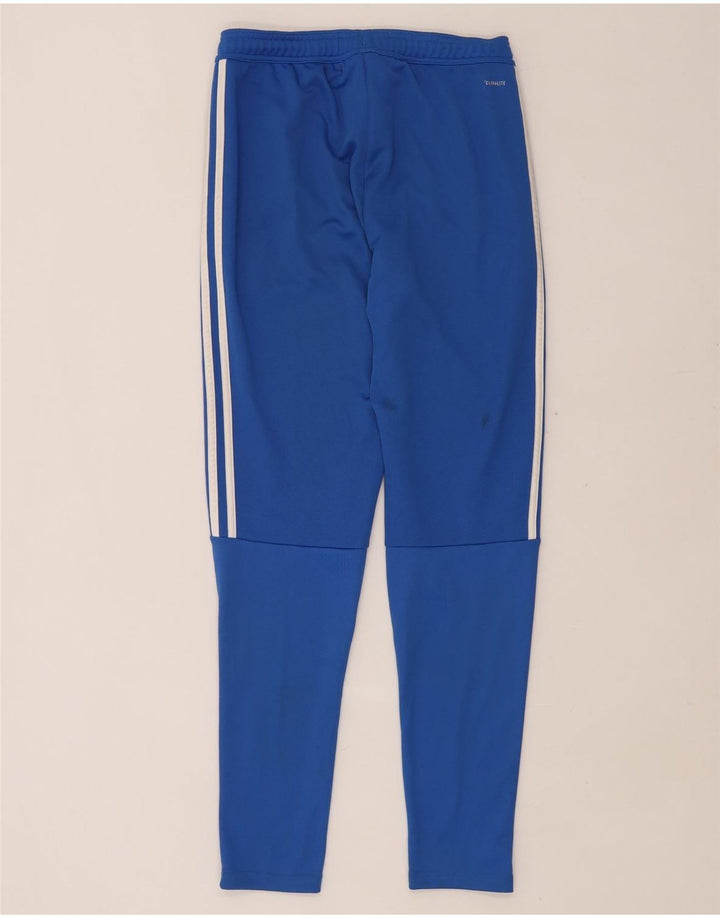Damskie spodnie dresowe ADIDAS Climalite UK 10, małe, niebieskie, poliestrowe