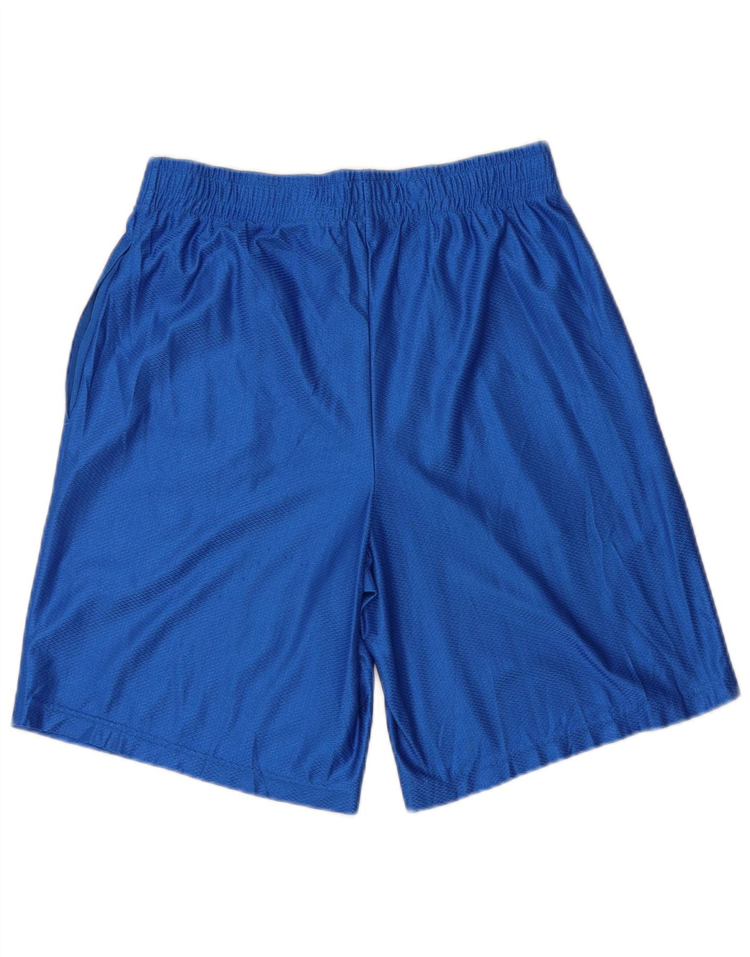 STARTER Mens Sport Shorts Small  Blue Polyester