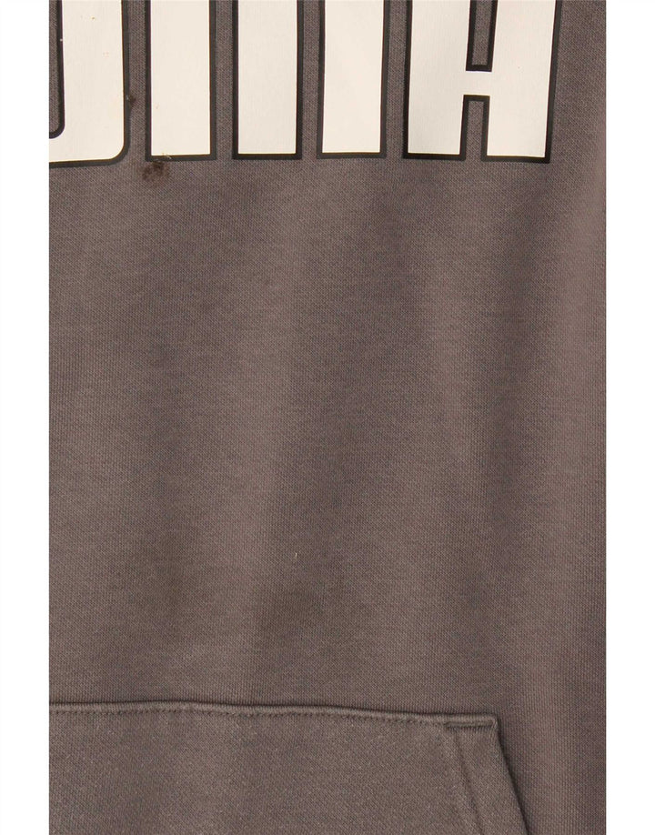 Męski sweter z kapturem Puma z grafiką, średnioszary, bawełniany