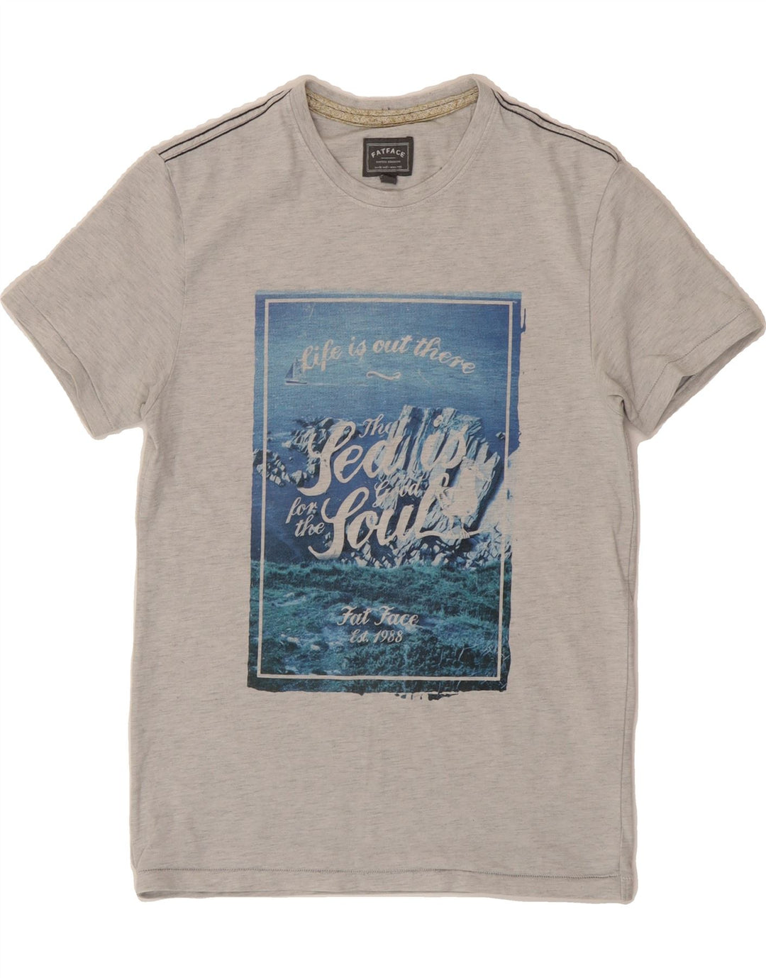 FAT FACE Mens Graphic T-Shirt Top XS Grey Cotton Vintage Fat Face and Second-Hand Fat Face from Messina Hembry 