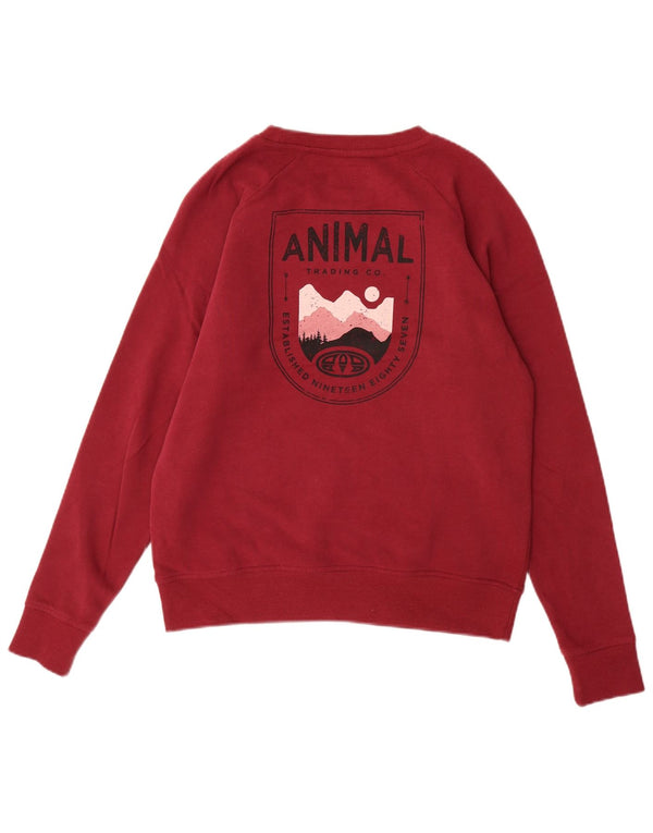Damska bluza oversize z grafiką ANIMAL UK 10 Small Burgund
