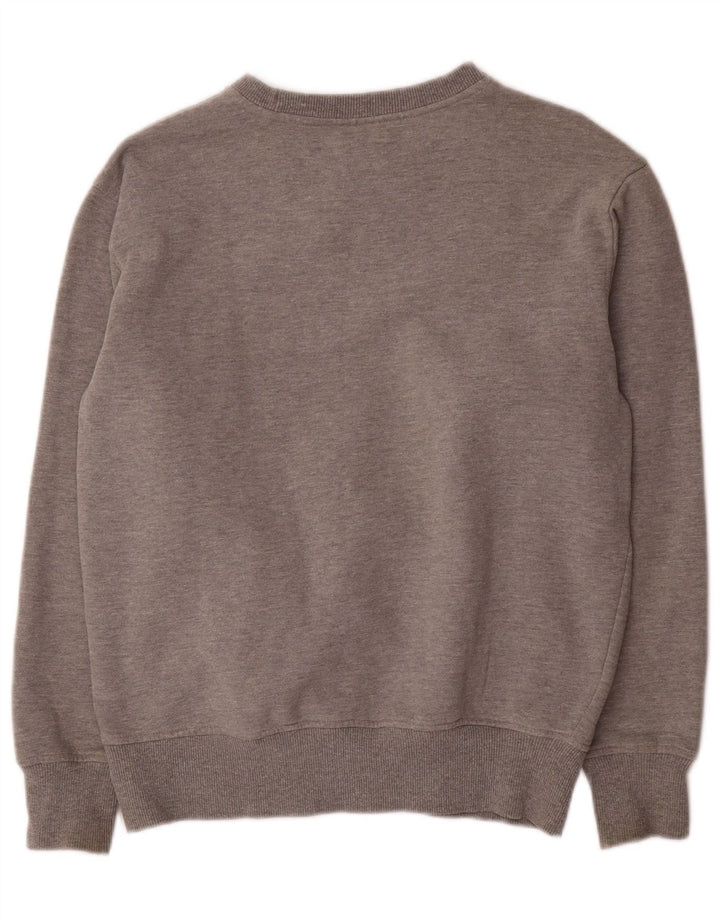 Męska bluza z grafiką Ellesse, mała, szara, bawełniana w bloki kolorów