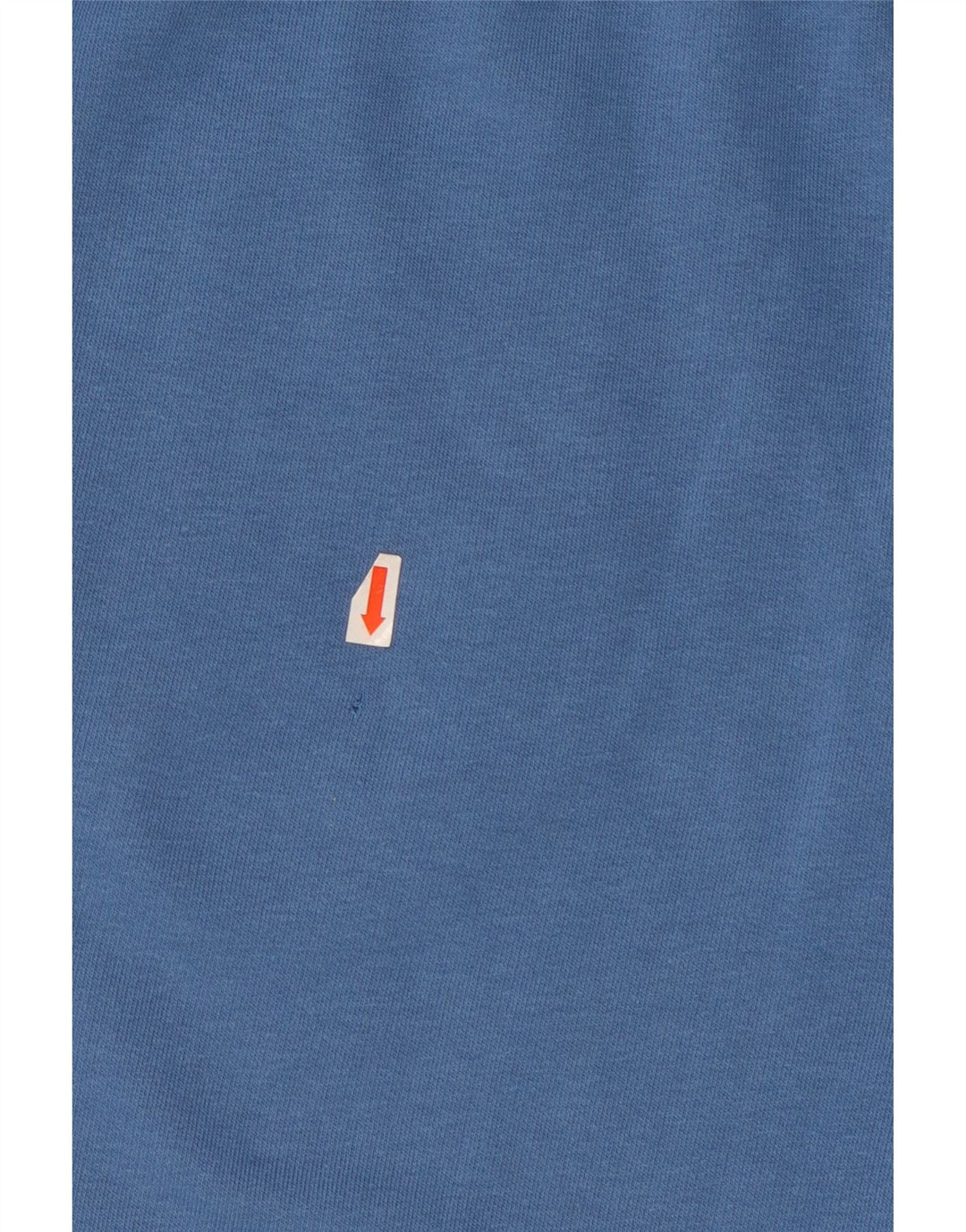 Męskie spodenki sportowe Champion Graphic XL, niebieskie, bawełniane