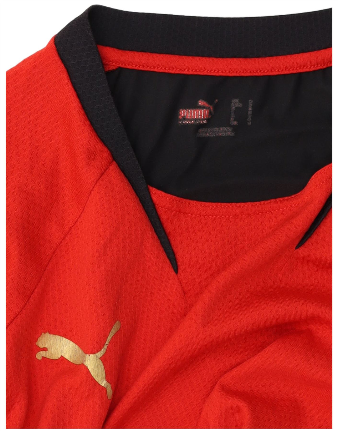 Męski T-shirt Puma z grafiką, mały, czerwony, z blokami kolorów