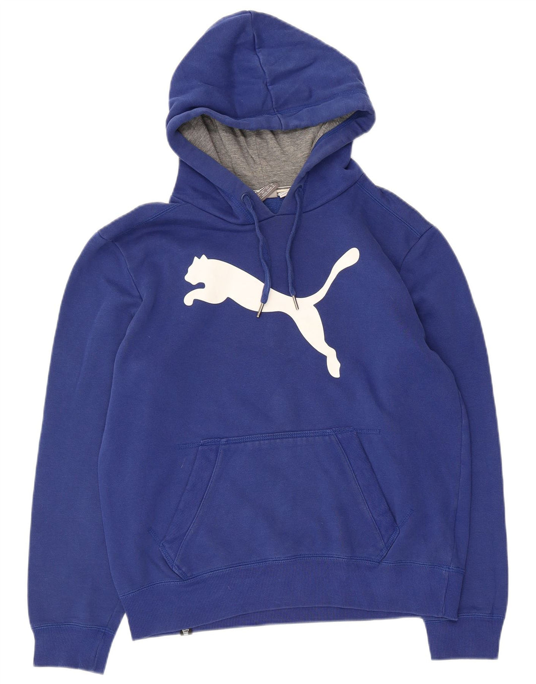 Męski sweter z kapturem Puma z grafiką, mały, niebieski, bawełniany