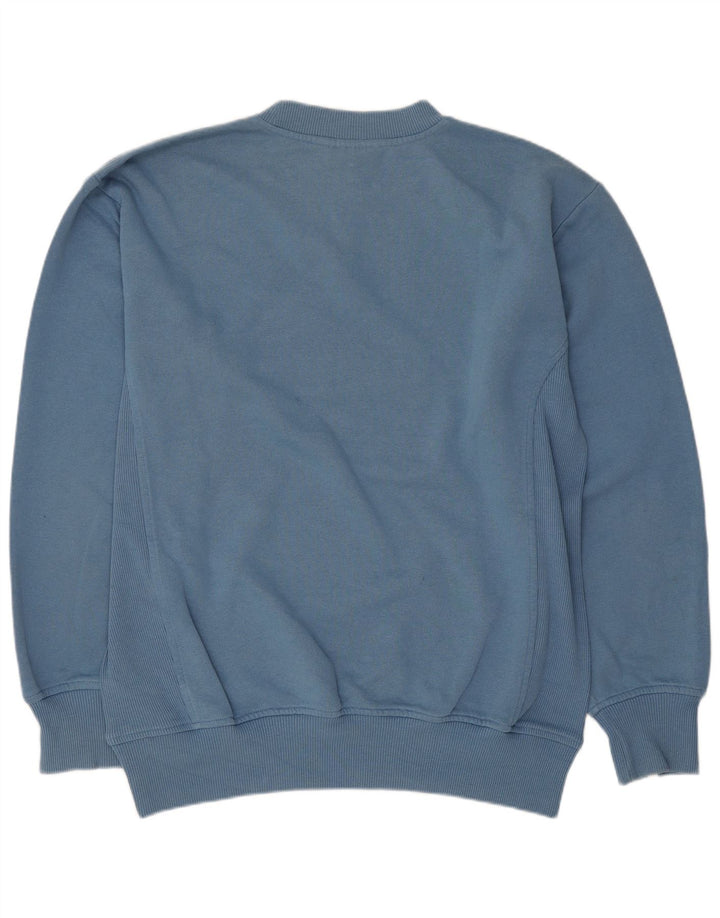 Męska bluza z grafiką Puma o luźnym kroju, mała, niebieska, bawełniana
