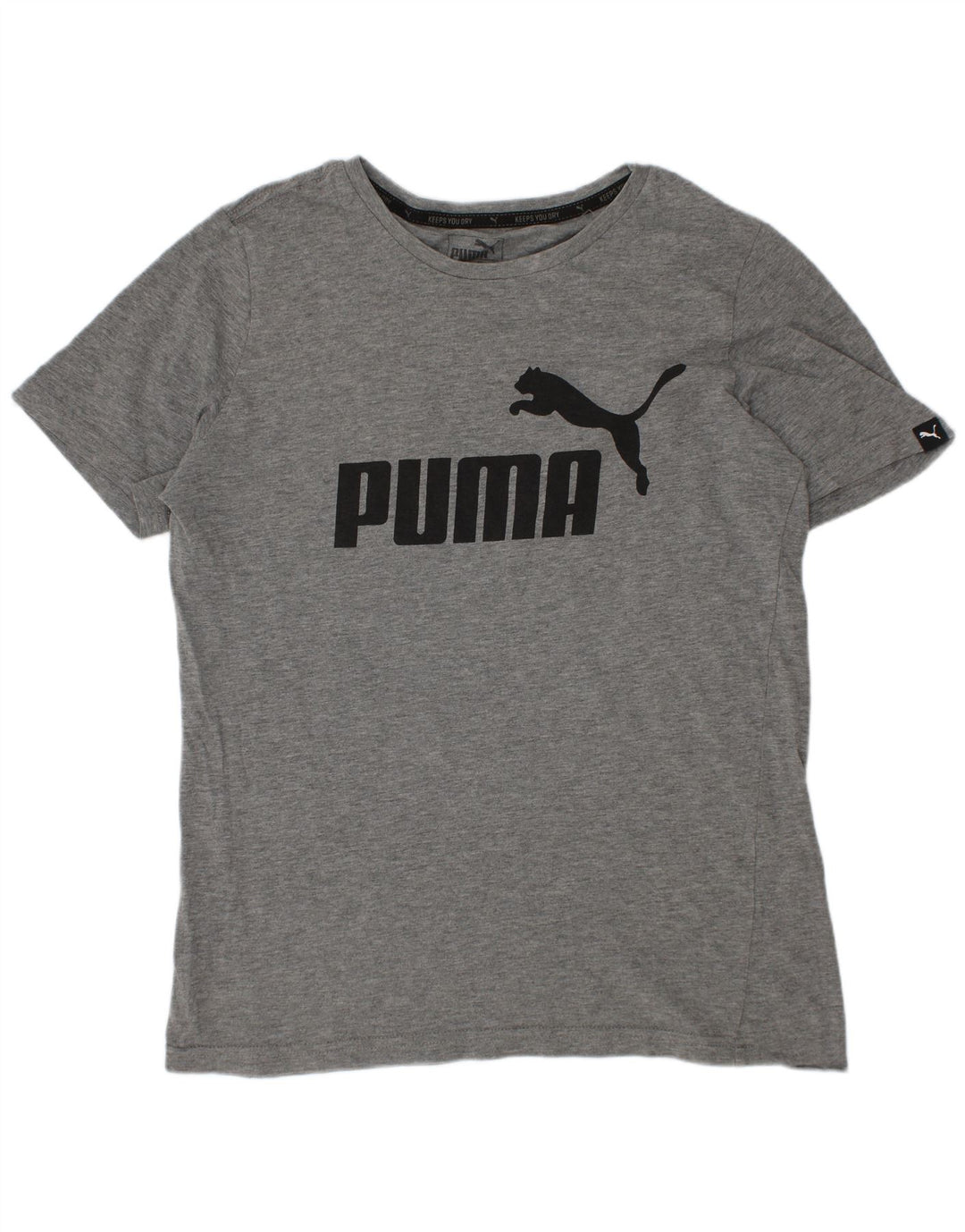 Chłopięcy T-shirt z grafiką Puma 11-12 lat, szary