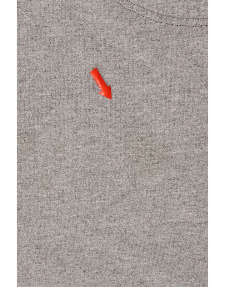 Męski sweter z grafiką Champion, mały, szary, bawełniany