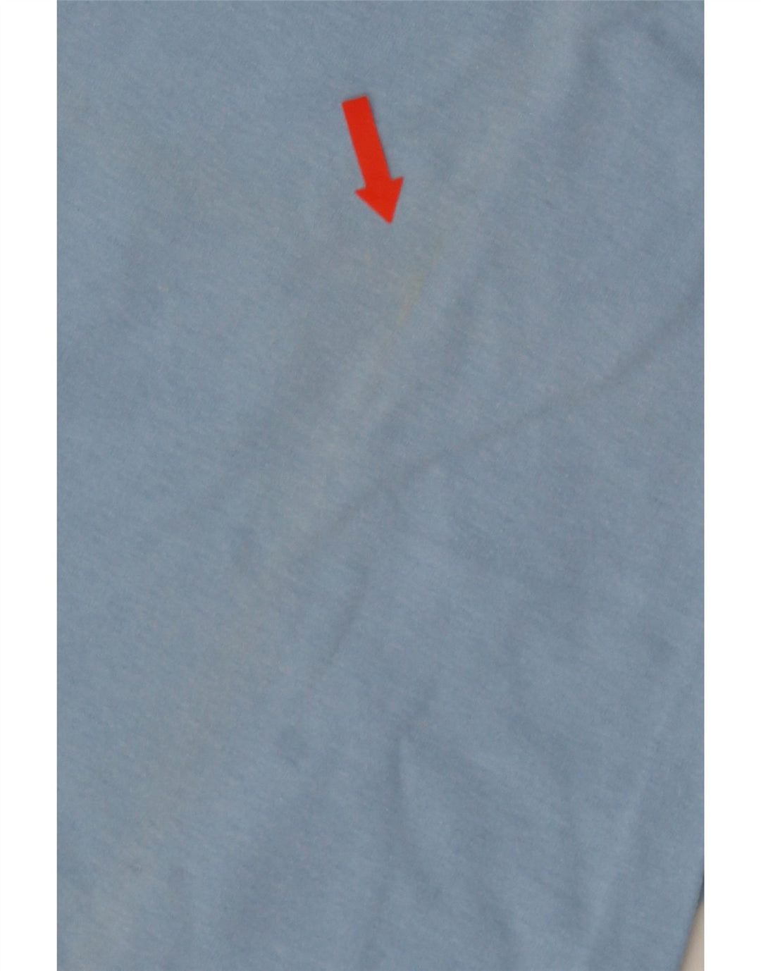 Męski T-shirt Champion z grafiką, duży, niebieski