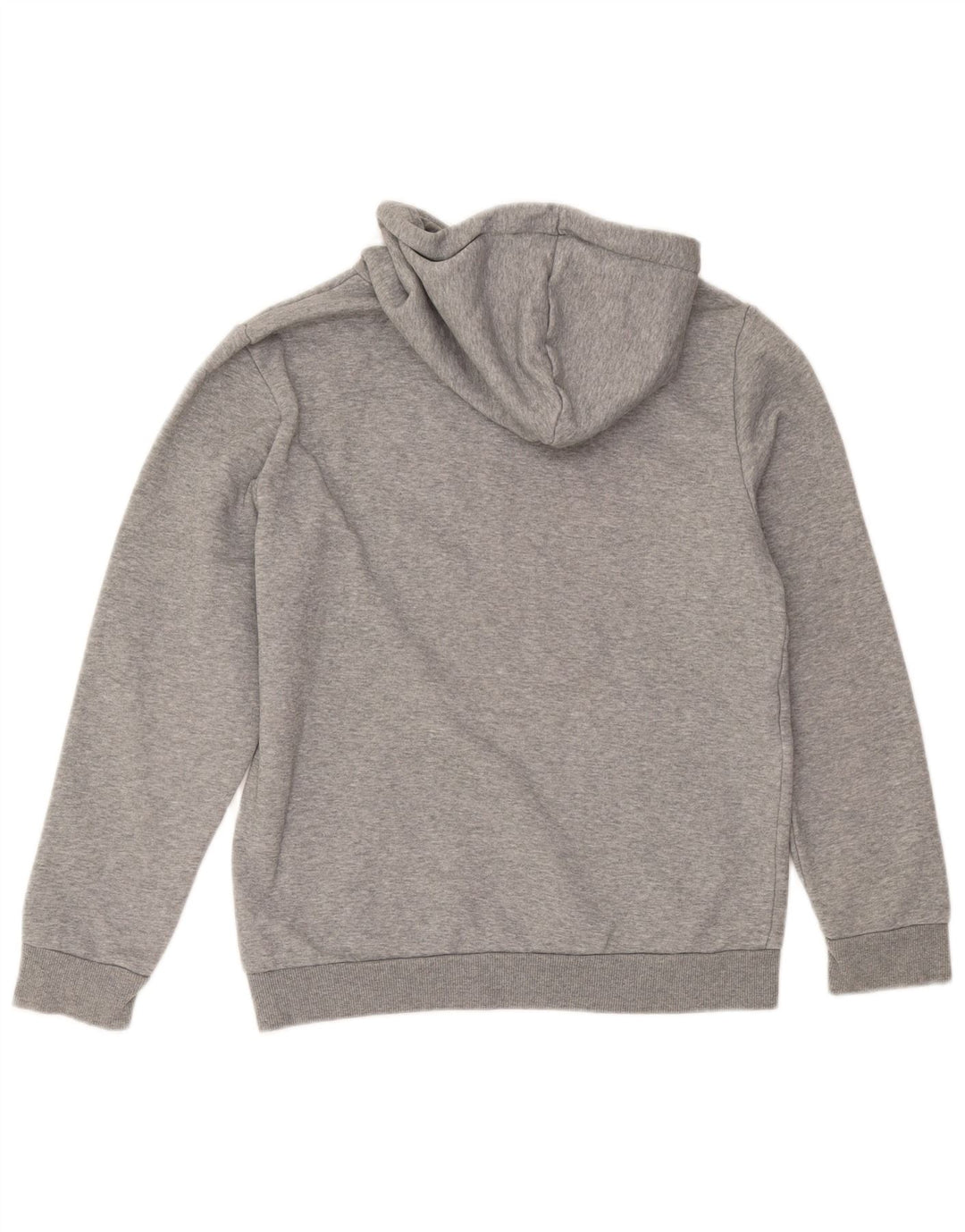 Męski sweter z kapturem Puma z grafiką, mały, szary, bawełniany