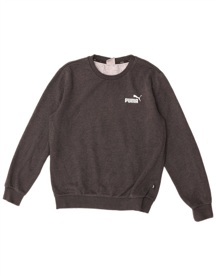 Męska bluza Puma Sweter, mała, szara, bawełniana