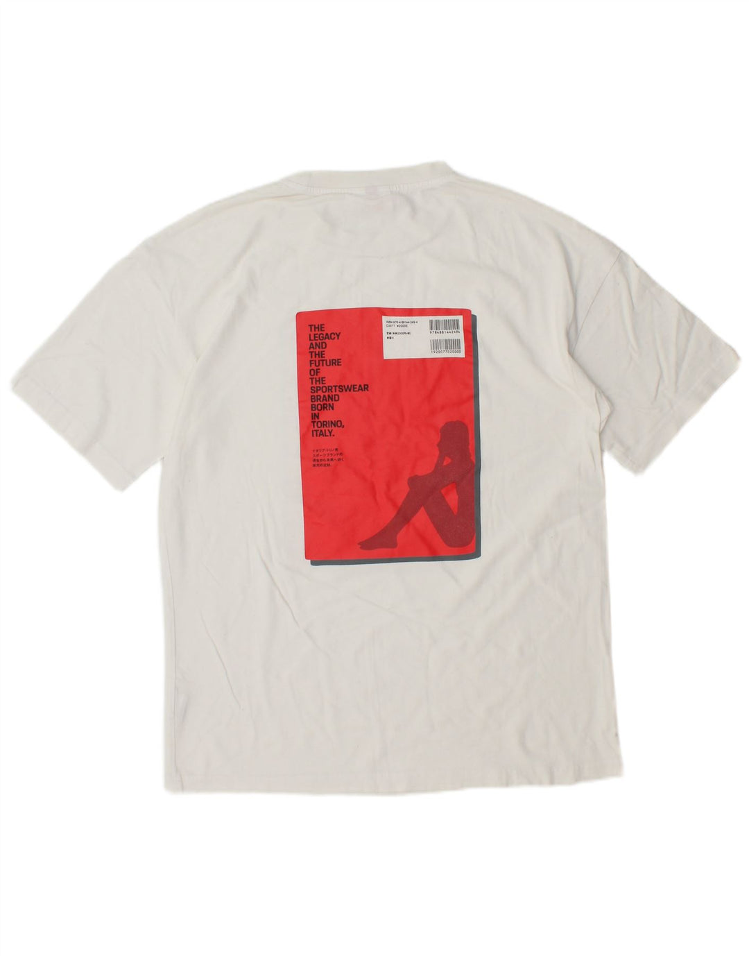 Męski T-shirt z grafiką KAPPA, mały, biały, bawełniany