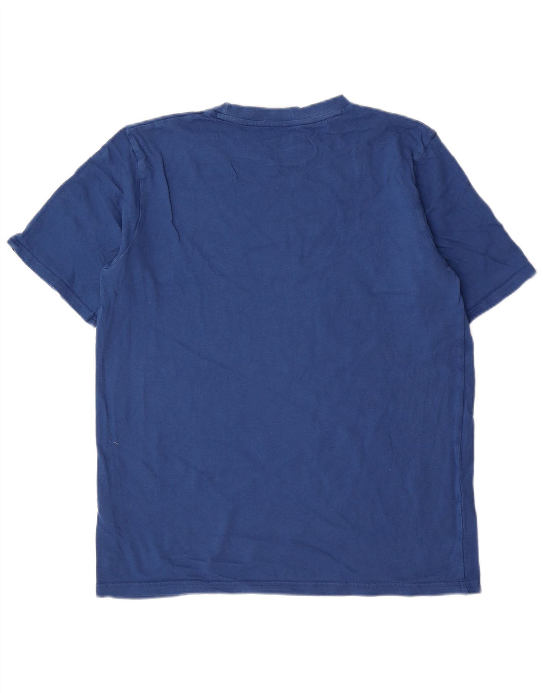 T-shirt męski Berghaus, duży, niebieski, bawełniany