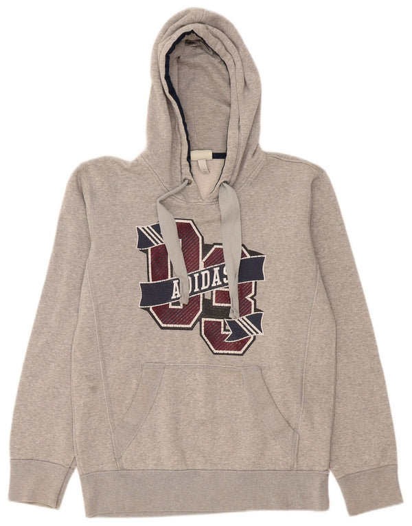 Męska bluza z kapturem Adidas Graphic, mała, szara, bawełniana