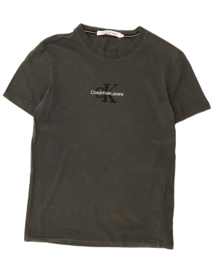 CALVIN KLEIN JEANS Męski T-shirt z grafiką, mały, bawełniany khaki