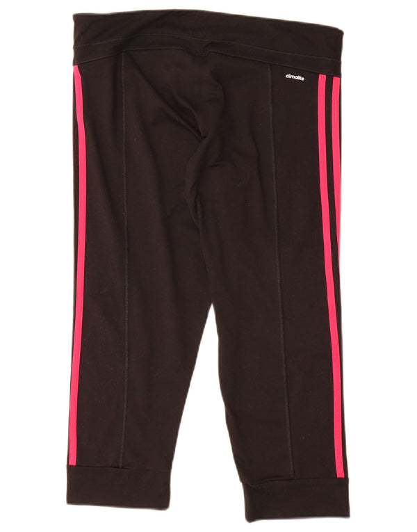 Adidas Damskie Climalite Dresowe Spodnie Joggers UK 12/14 Średni Czarny