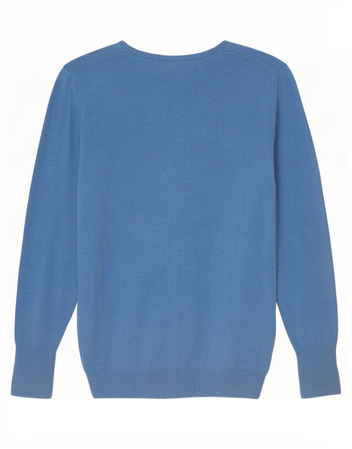 Męski sweter z dekoltem w kształcie litery V Eddie Bauer, mały, niebieski, bawełniany