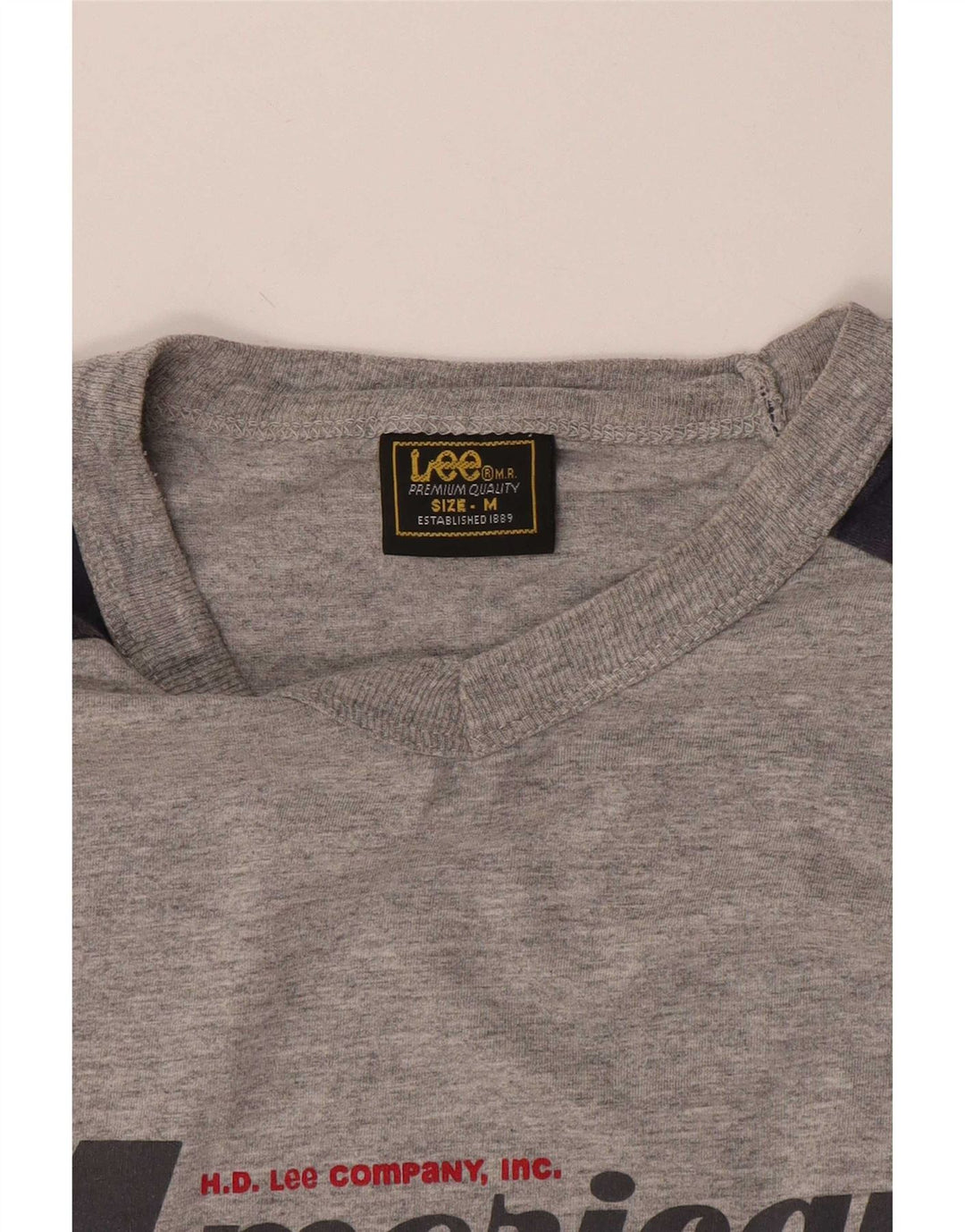 Męski T-shirt Lee z grafiką, średni szary, blok kolorów
