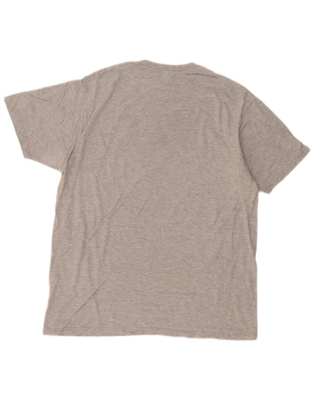 Męski T-shirt z grafiką Levi's Top XL, szara bawełna