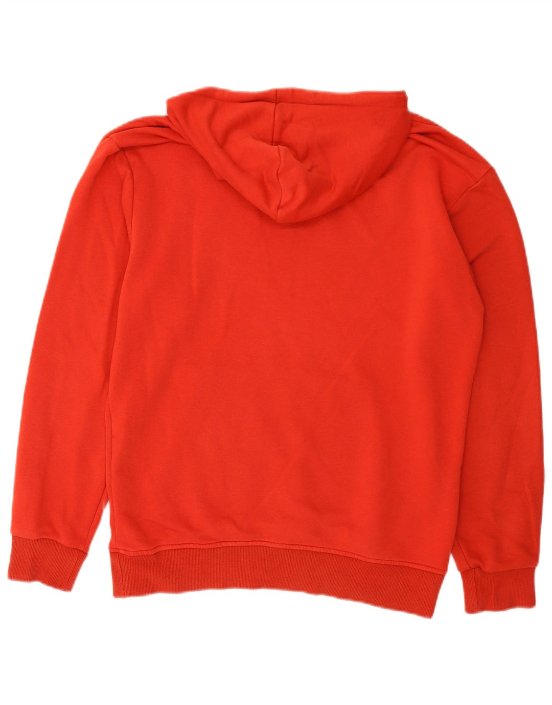 Męski sweter z kapturem Puma z grafiką, mały, czerwony, bawełniany