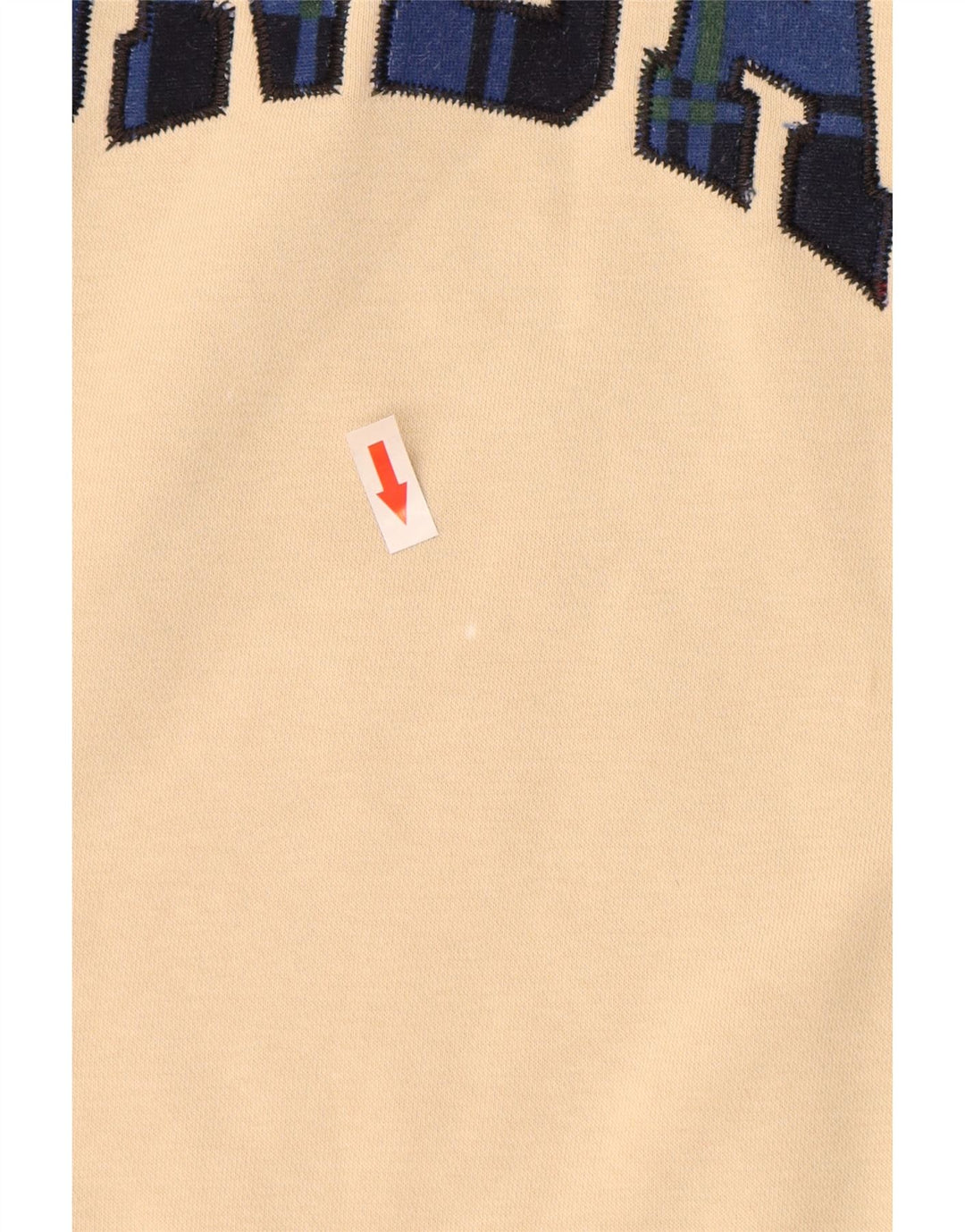 Męska bluza z grafiką JORDAN, mała, beżowa, bawełniana