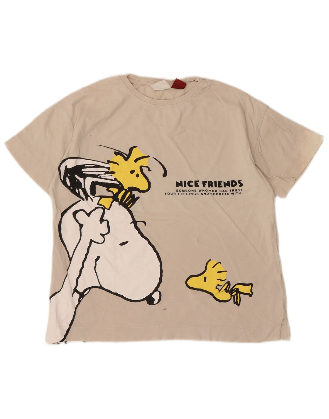 Chłopięcy T-shirt z grafiką Zara 9-10 lat w kolorze złamanej bieli
