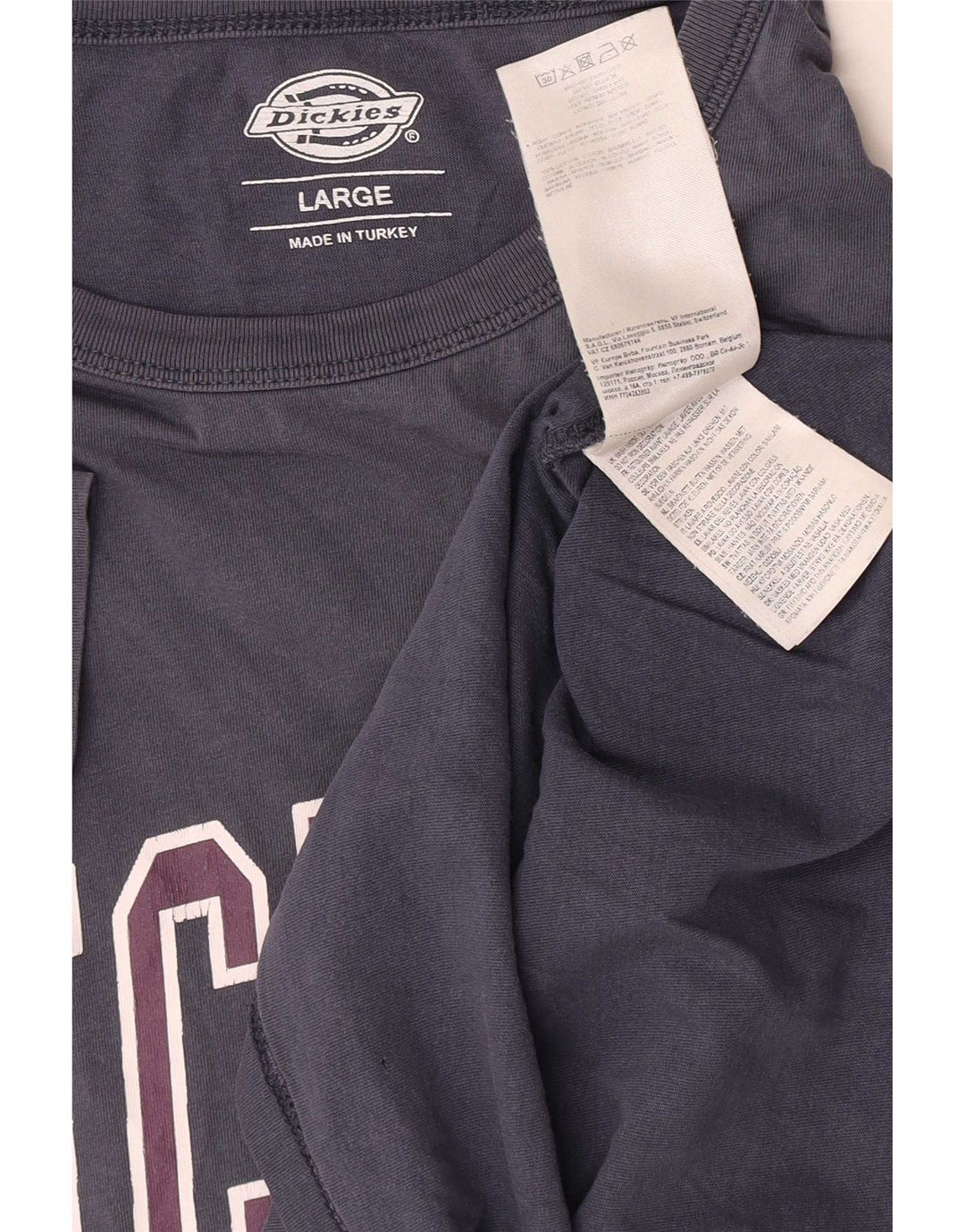 Męska koszulka z grafiką Dickies, duża, granatowa, bawełniana