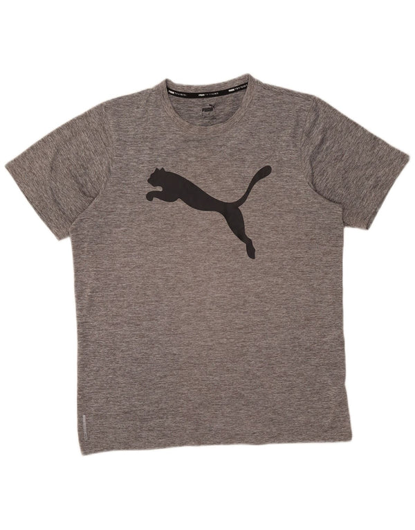 Męski T-shirt Puma z grafiką, średni szary