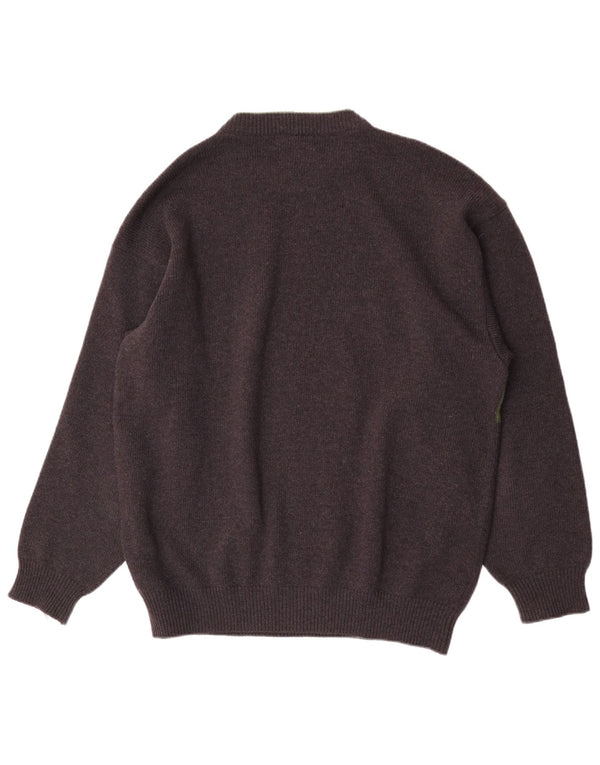 Męski sweter z wycięciem pod szyją Iceberg XL, szary, wełniany, retro