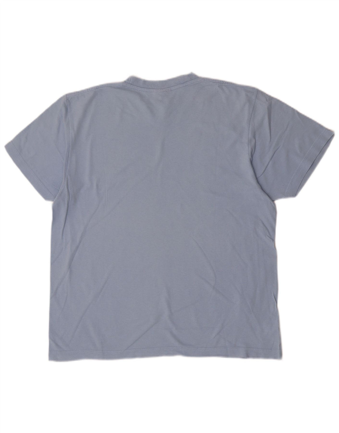 Męski T-shirt Champion z grafiką, duży, niebieski, bawełniany