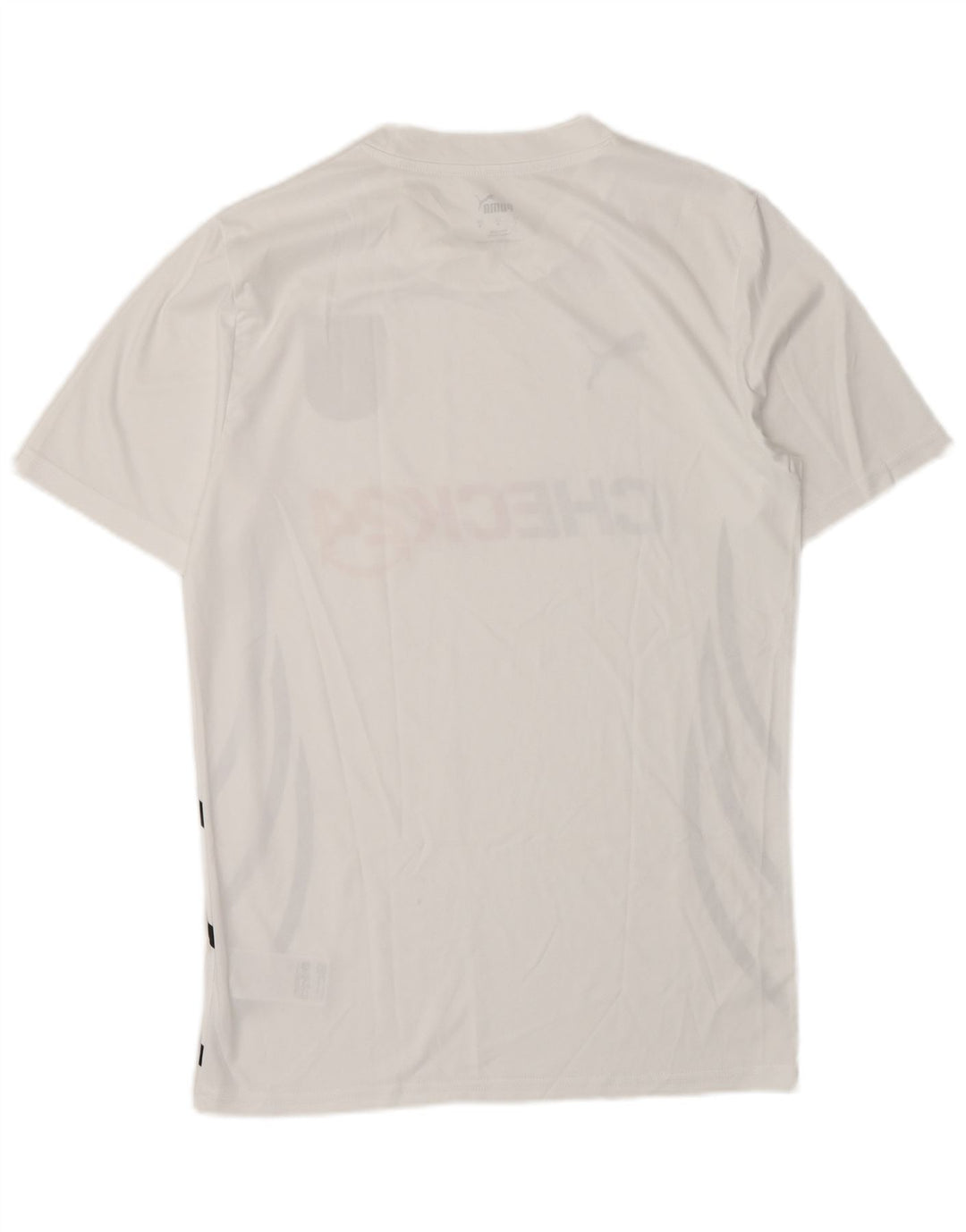 Męski T-shirt Puma Deutshland z grafiką, mały, biały poliester w paski