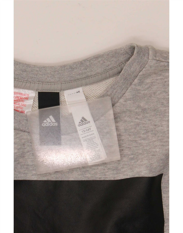Chłopięca bluza Adidas z grafiką, 13-14 lat, szara bawełna