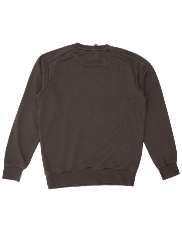 Męska bluza z grafiką ADIDAS, średnioszara, bawełniana