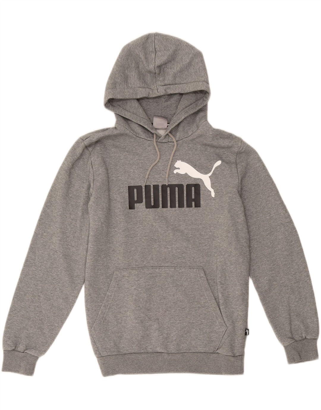 Męski sweter z kapturem Puma z grafiką, mały, szary, bawełniany