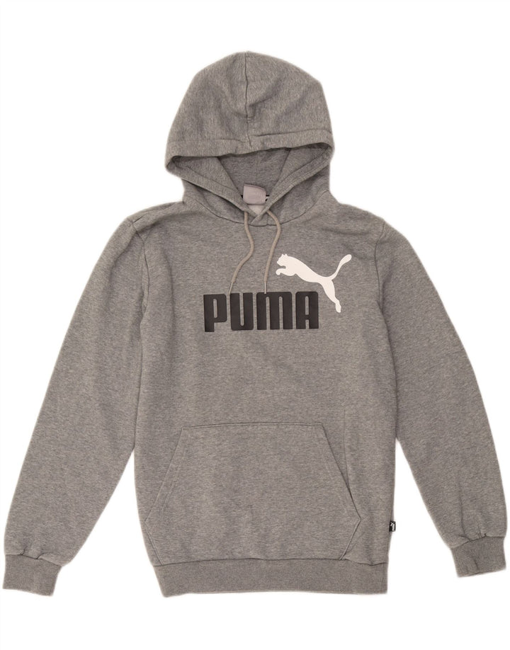 Męski sweter z kapturem Puma z grafiką, mały, szary, bawełniany