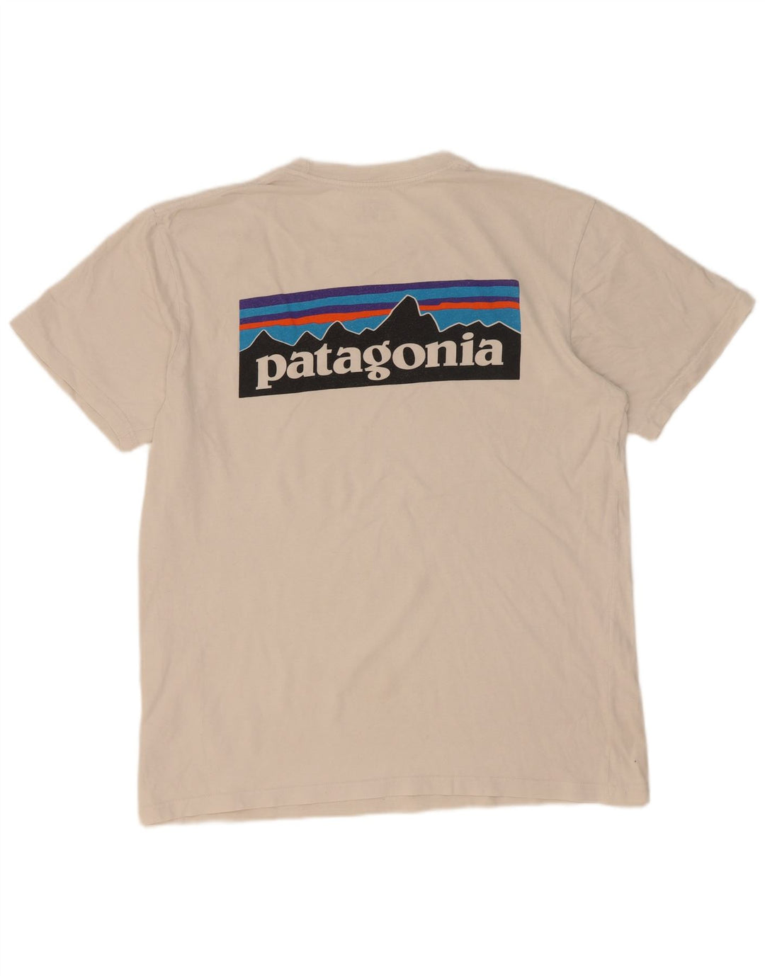 Męska koszulka Patagonia o regularnym kroju z grafiką, średnia biała bawełna