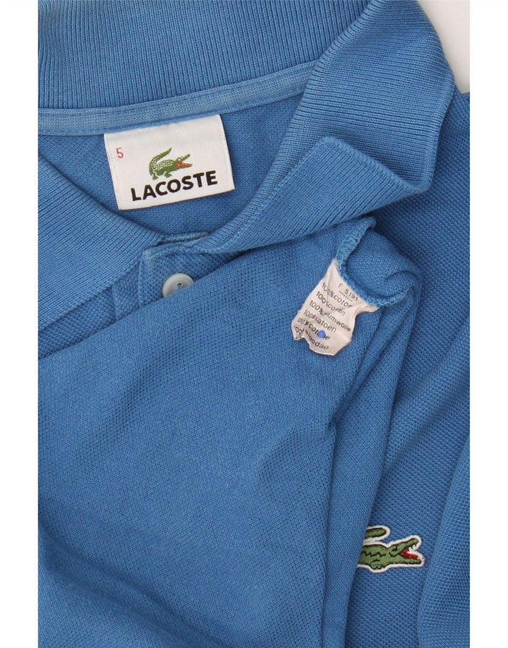 Męska koszulka polo Lacoste, rozmiar 5, duża, niebieska, bawełniana