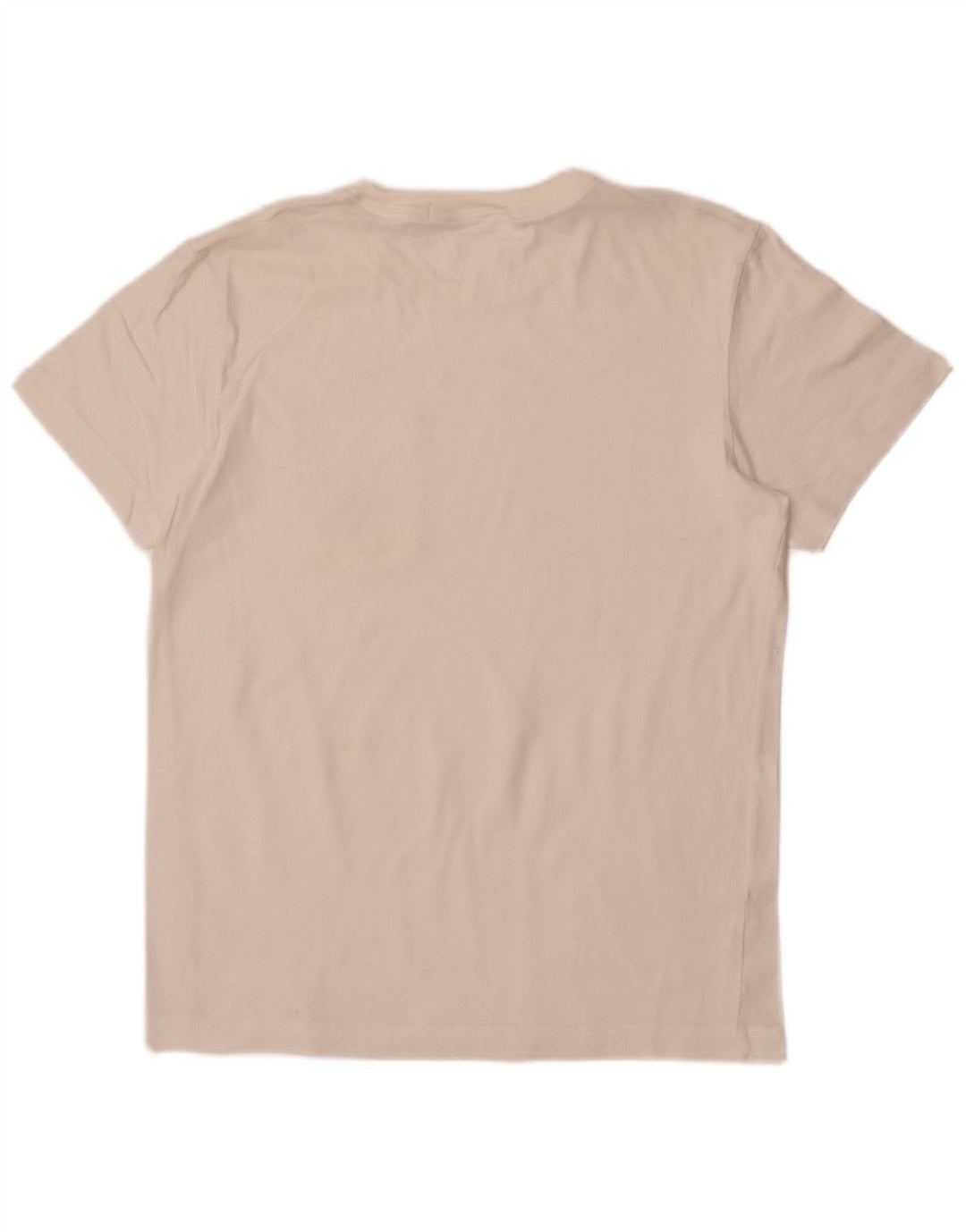 Męska koszulka graficzna Calvin Klein Jeans Top Medium Off White