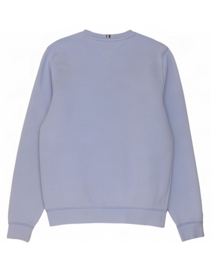 Męska bluza z grafiką Tommy Hilfiger, mała niebieska, bawełniana