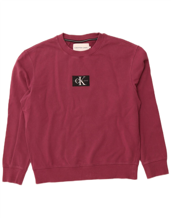 Męski sweter CALVIN KLEIN JEANS z grafiką, kolor średniofioletowy