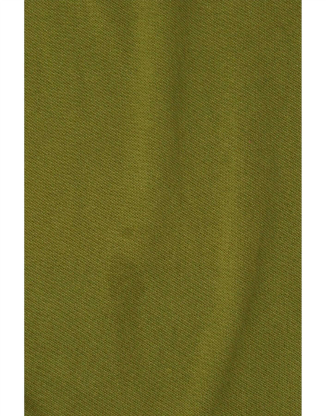Męska koszulka polo Sergio Tacchini, duża, bawełniana khaki
