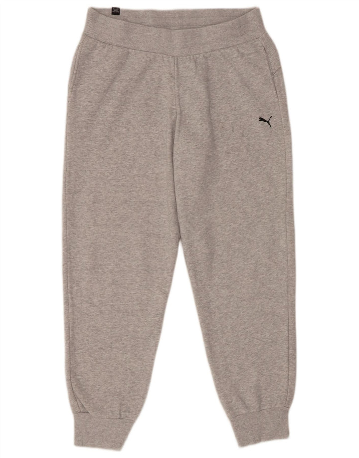 Męskie spodnie dresowe Puma Joggers, średnioszare, bawełniane