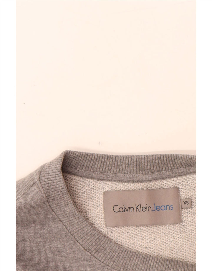 Męska bluza z grafiką CALVIN KLEIN JEANS, sweter XS, szara bawełna
