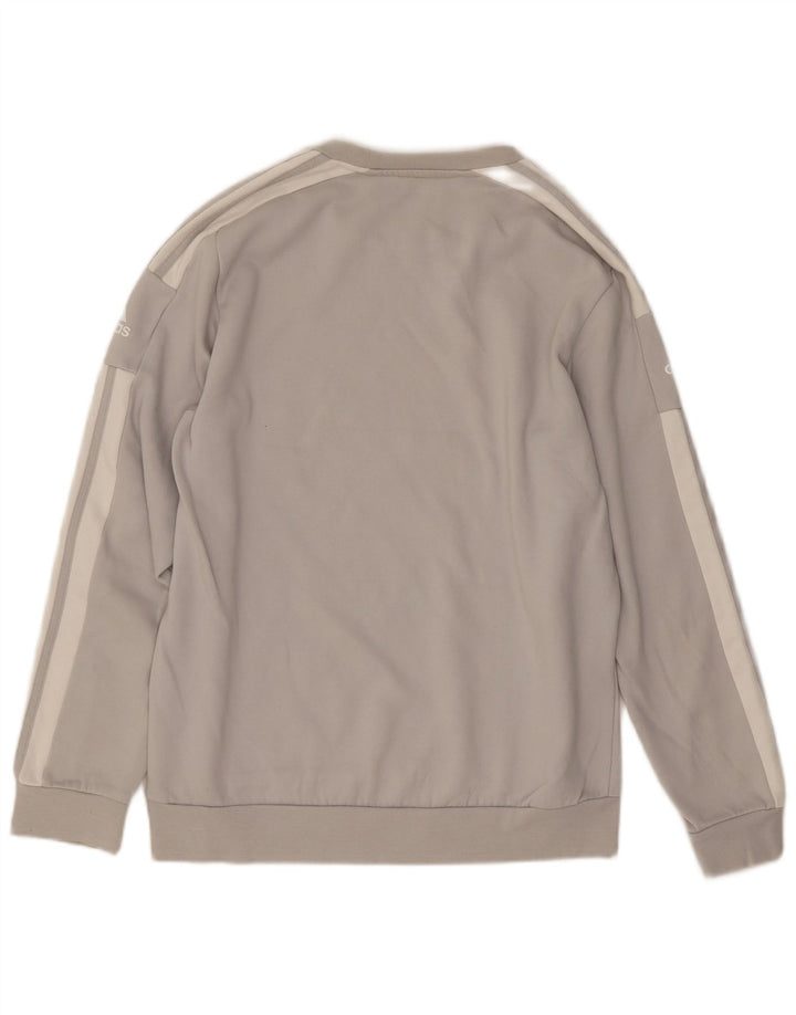 Męska bluza Adidas z grafiką, średnia szara bawełna