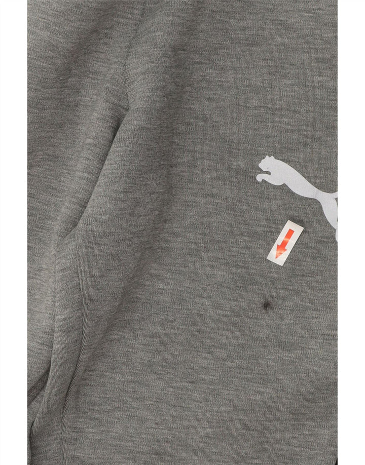 Męskie spodnie dresowe Puma, małe, szare, bawełniane z blokami kolorów