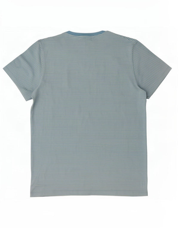 Cos Męski t-shirt o regularnym kroju, bawełniany w średnie niebieskie prążki