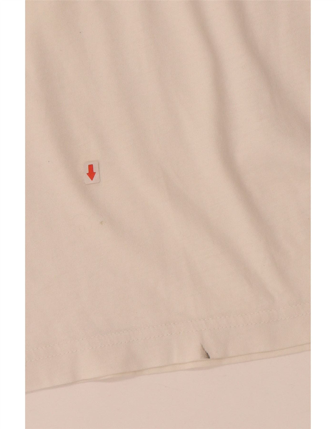 Męski T-shirt z grafiką GANT, duży, biały, bawełniany