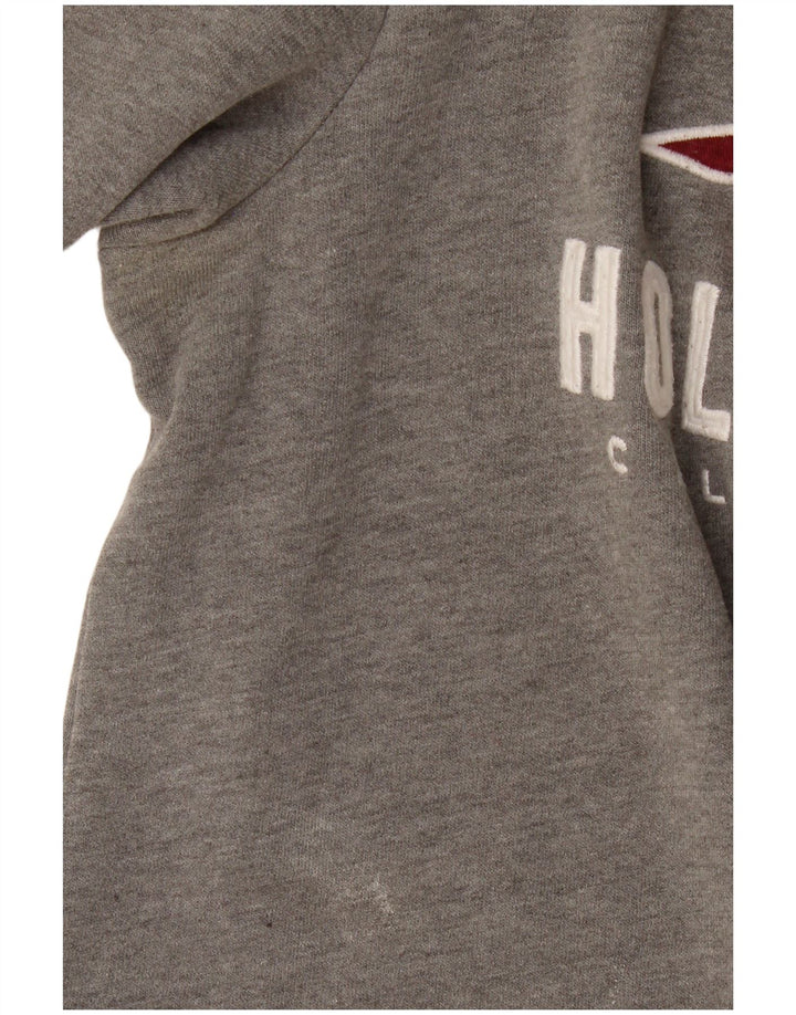 Męska bluza z grafiką Hollister, mała, szara, bawełniana