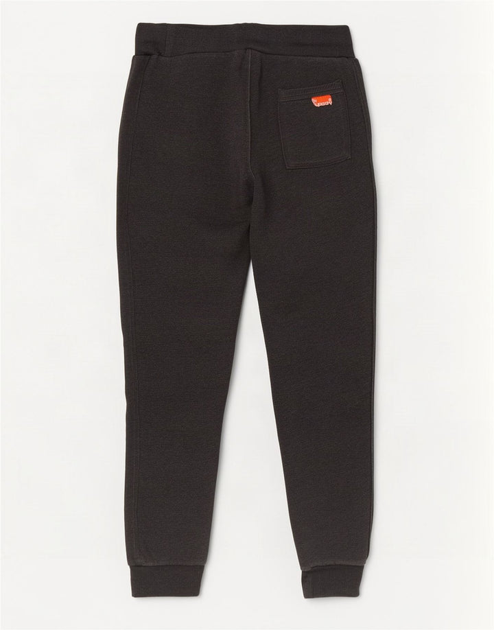 Męskie spodnie dresowe Superdry Slim, małe, szare, bawełniane